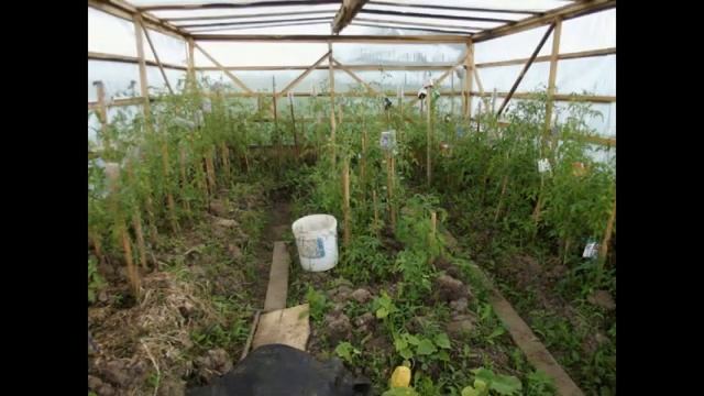 УЧАСТОК В ПОДМОСКОВЬЕ ОСВАИВАЕМ смотреть онлайн