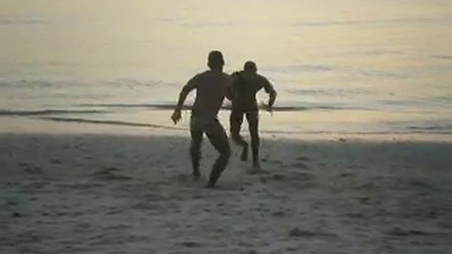 dois gatos fazendo capoeira смотреть онлайн