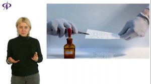 Химия | Лабораторная работа №7.5 "Свойства серной кислоты"