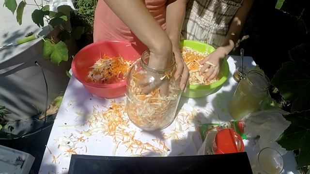 Квасим капусту без соли смотреть онлайн