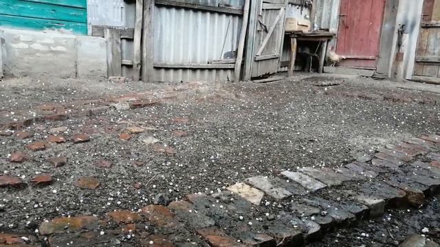 Град в Золотухино Курская область