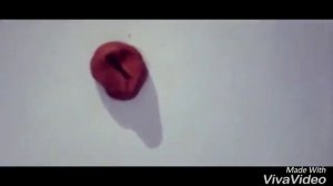 Как вырастить пластилиновый цветок