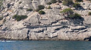 На царский пляж