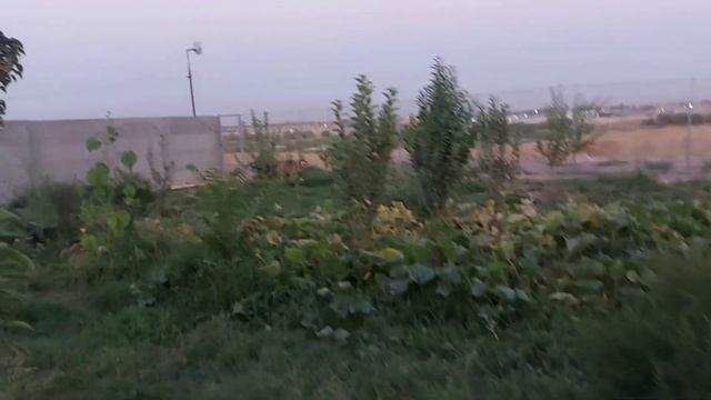 Дом - приют для бездомных собак и кошек. #приютдлясобак #animalshelter