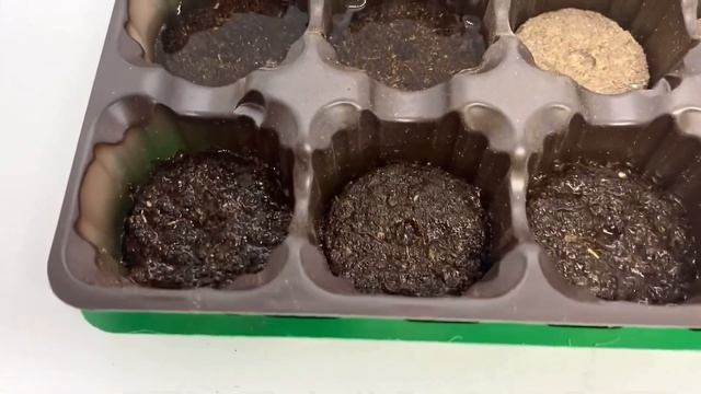 Набор для рассады с торфяными таблетками 12 штук от магазина Smart Box на OZON смотреть онлайн