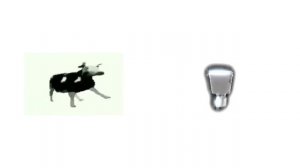 Польская корова VS Польский унитаз