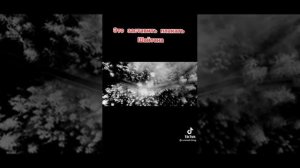 Это заставить плакать шайтана