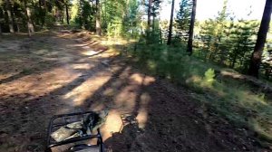 Прогулка на Рейсер Турист в лес, на озеро и пруд.