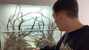 День до запуска 200л. Акваскейп за Копейки☝️ #aquarium #аквариум #aquascape #акваскейп #сделайсам