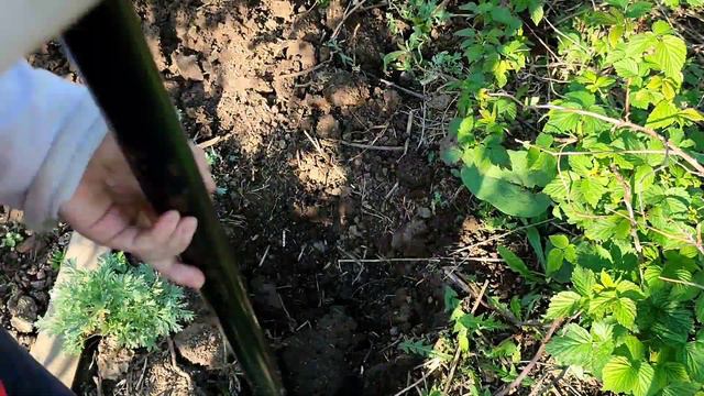 ЗАКОПАЛ НА МЕСЯЦ ВАЗ 2104 ИЗ ПЛАСТИЛИНА И ОТКОПАЛ смотреть онлайн