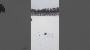 Ловля форели зимой в с. Борино Липецкая область