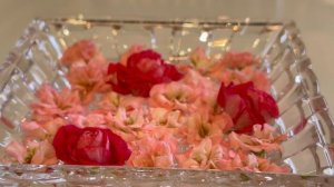 Пеларгонии Продлеваем цветение