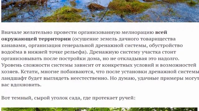 Проблемы заболоченного участка и их решения смотреть онлайн