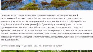 Проблемы заболоченного участка и их решения