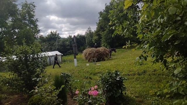 Косметический ремонт дачи!#дача#ремонт#теплица#