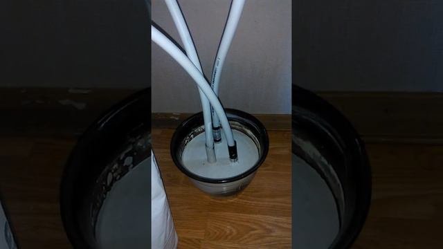 основание для ростовых цветов