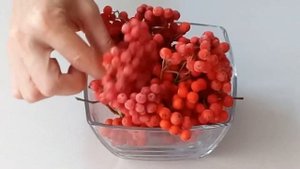 РЯБИНА. ОДИН ИЗ СПОСОБОВ ХРАНЕНИЯ ЯГОДЫ