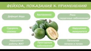 Способы хранения фейхоа в домашних условиях