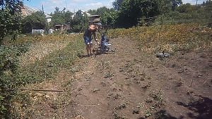 Горчица на сидераты