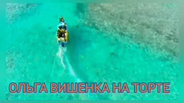 ОСТАЛОСЬ ЖИТЬ ГОД? СРОЧНО ДЕНЕГ ПИРАТКЕ! ПИРАТСКАЯ ЖИЗНЬ. ОБЗОР.