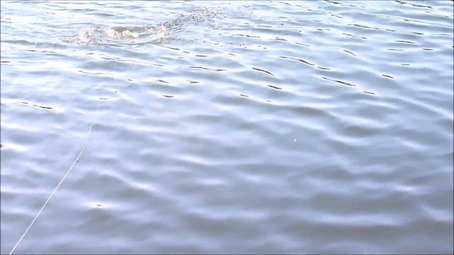 ДжеркоСпиннер для ловли щуки смотреть онлайн