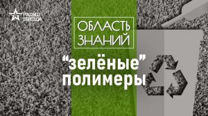 Как заботиться об экологии с помощью пластика.