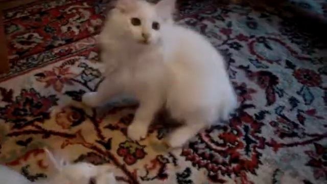 АГАША.MPG смотреть онлайн