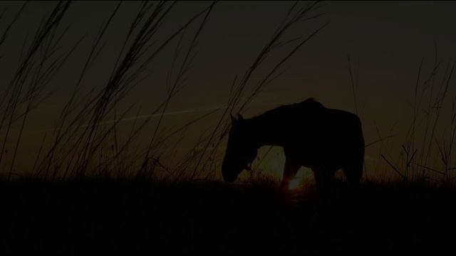 Буян смотреть онлайн