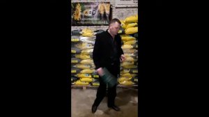 Семена подсолнечника Лейила/Лейла (Агроспецпроект)