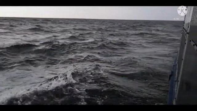 Морская прогулка с элементами  рыбалки. Балтийское море. 16.08.2021.