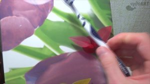 Держатели для Зубных Щеток из Китая | Присоски для Зубных Щеток