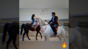 Эбру Шахин и Акын Акынозю ??