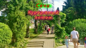 Сочи сегодня/ Курортный проспект летом