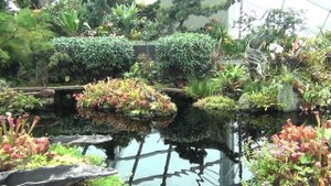 Первый раз в Сингапур экскурсия с Пхукета на 2 дня. Сады. The first time in Singapore.