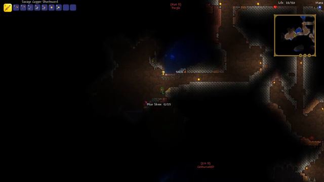 Terraria  Beginners Complications