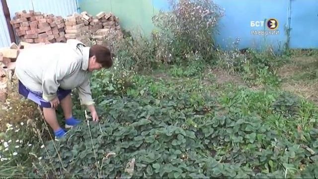 Социальный работник