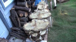 Woodworking, Cookies Air Drying. Воздушная сушка спилов акации