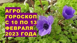 Агрогороскоп с 10 по 13 февраля 2023 года. Агрогороскоп з 10 по 13 лютого 2023 року