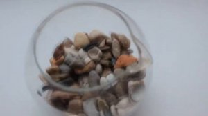 КАК СДЕЛАТЬ ДЕКОРАТИВНЫЙ СУХОЙ АКВАРИУМ У СЕБЯ ДОМА.  ИДЕЯ ДЛЯ ДИЗАЙНА.