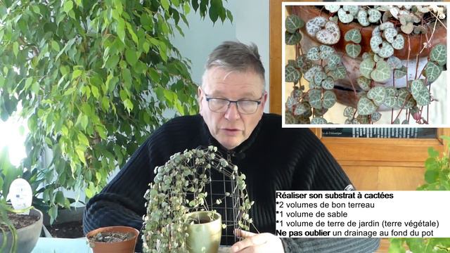 Ceropegia, la chaîne des coeurs смотреть онлайн