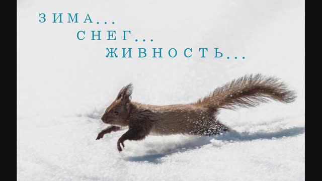 210 Муслим Магомаев - Вагнериана (инстр.)