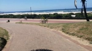 ЮАР ДУРБАН ПРОГУЛКА