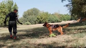 Виарель: охрана вещи