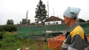 Птицеферма.mp4