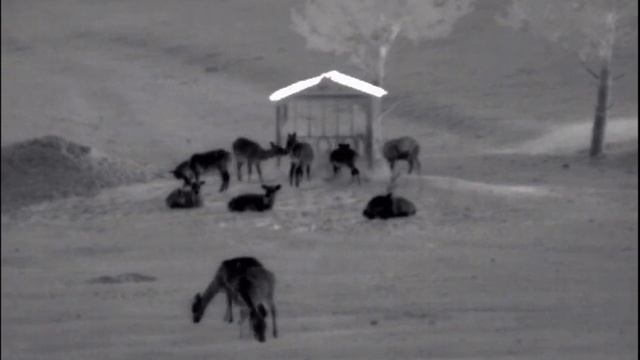 Обновление 4.0 для тепловизоров серии XQ смотреть онлайн