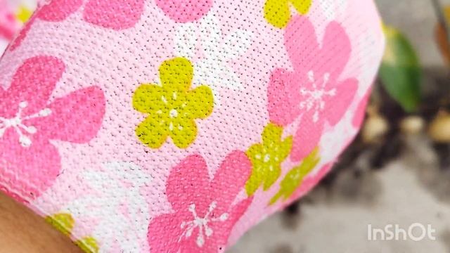 Самый экономичный вариант размножения замиокулькаса. #zzplant #замиокулькас#доллоровоедерево смотреть онлайн