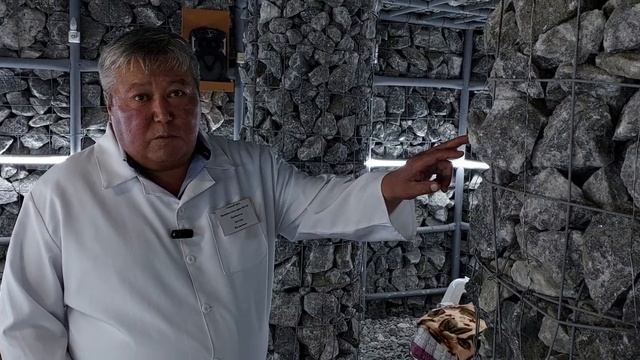 ЧУДО СОЛЬ из Кыргызстана может вылечить даже COVID. Военный санаторий в селе Тамга на Иссык-Куле смотреть онлайн