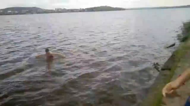 VLOG•ЛЫСАЯ КОШКА | МОКРЫЕ КИСКИ 2 / Nikita Ris смотреть онлайн