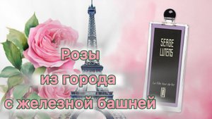 Идеальная роза обнаружена!