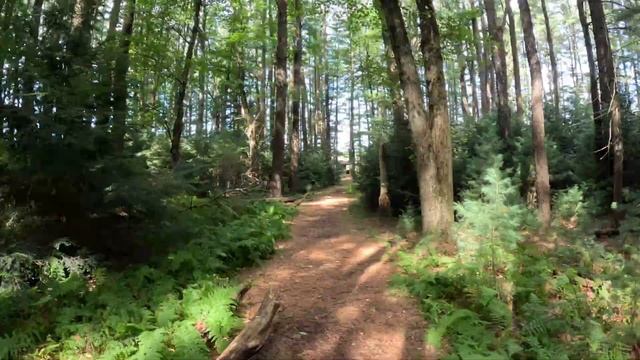 Explorando el mejor State Park en los Poconos Pennsylvania/promised land state park #camping #rvlif смотреть онлайн